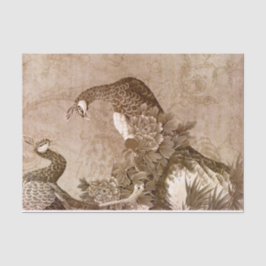 Elegante  pauwen tissuepapier