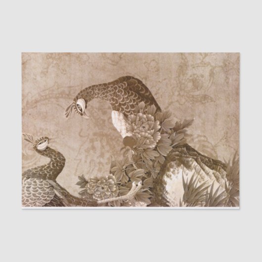 Elegante  pauwen tissuepapier (Voorkant)