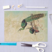 Elegante pauwen tissuepapier (Craft)