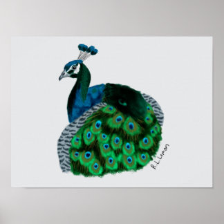 Elegante Pauwenkunstposter Poster