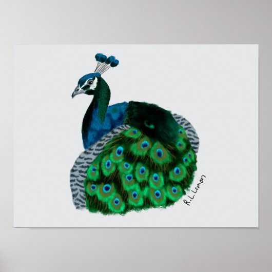 Elegante Pauwenkunstposter Poster (Voorkant)