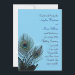 Elegante Peacock bruiloft uitnodiging (turquoise)<br><div class="desc">Elegante pauwenveren versieren deze huwelijksuitnodiging op een turquoise achtergrond. De uitnodiging wordt weergegeven op het basispapier; ik raad echter de glinstering van het parelglanspapier aan om de iriserende werking van de veren naar voren te brengen.</div>