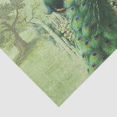 Elegante  Peacock Tissuepapier (Detail)