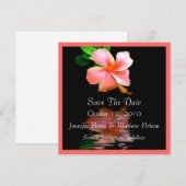 Elegante Perzik Hibiscus Save the Date Aankondigin (Voorkant / Achterkant)