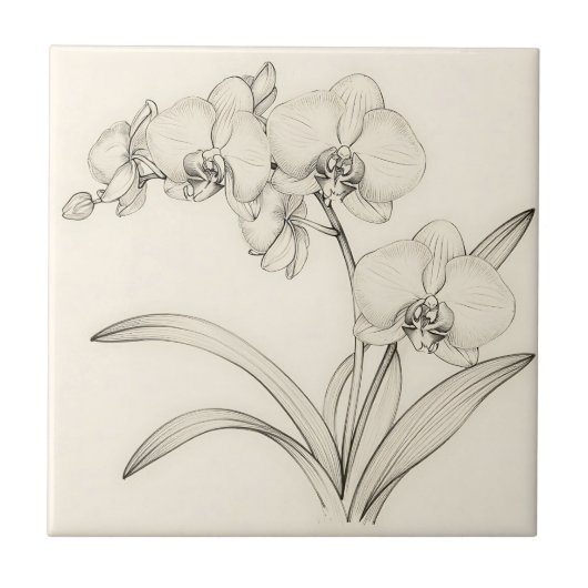 Elegante Phalaenopsis Orchidee Lijnkunst Tegeltje (Voorkant)