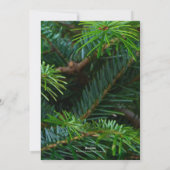 Elegante Pine Red Bow Religieuze Bijbel Verse Foto Feestdagenkaart (Achterkant)