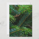 Elegante Pine/Rood/Goud Lijst Foto Kerst Kaart (Achterkant)