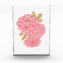 Elegante pioenen – Zacht roze bloemenillustratie