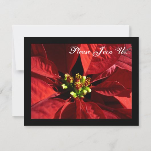 Elegante Poinsettia Kerstvakantie Uitnodigingen (Voorkant)