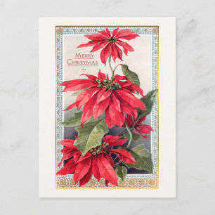 Elegante Poinsettias in Decoratief Goud Lijst Briefkaart