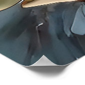 Elegante Protea Art sierlijk bloemontwerp Poster (Hoek)