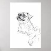 Elegante Pug Portrait Sketch - Premium Poster (Voorkant)