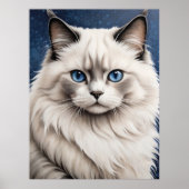 Elegante Ragdoll Cat Portret Kunstwerk Blauwe Ogen Poster (Voorkant)