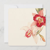 Elegante Red Cattleya Orchids bruiloft Save the Da Date (Achterkant)