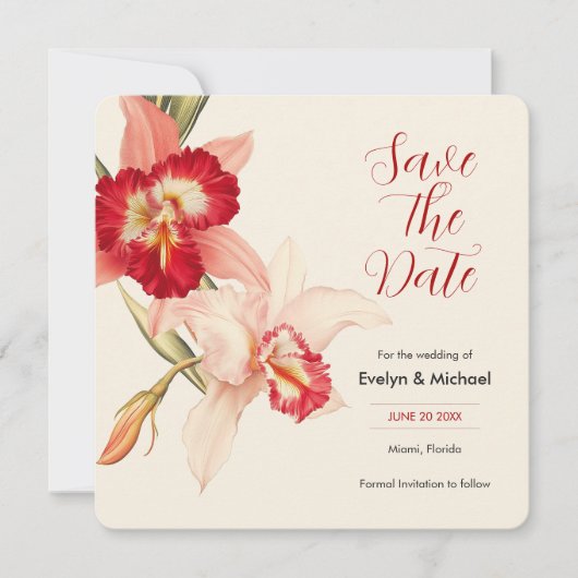 Elegante Red Cattleya Orchids bruiloft Save the Da Date (Voorkant)