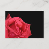 Elegante Red Rose Receptie Insert Kaarten (Achterkant)