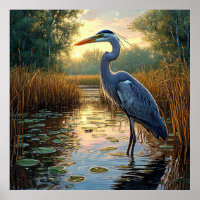 🌿 Elegante Reiger Moeras Nevelig Drasland Natuur 
