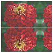 Elegante rode bloem foto stof (Close Up)