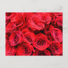 Elegante rode bloemen rozen briefkaart