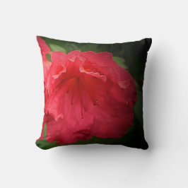 Elegante rode bloemen Sierkussen