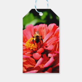 Elegante rode bloemenkoraal zinnia hommel cadeaulabel
