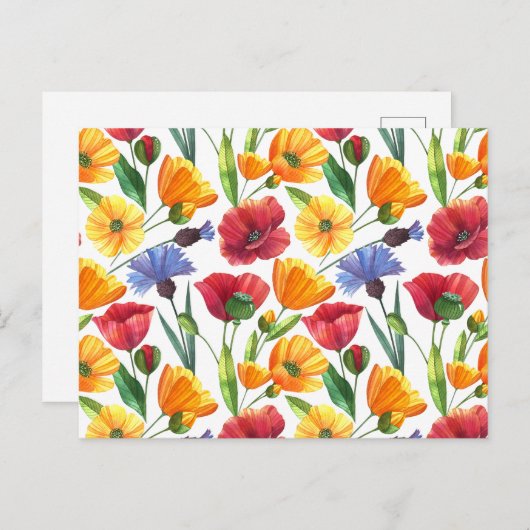 Elegante rode en gele klaproos bloemen, korenbloem briefkaart (Voorkant / Achterkant)