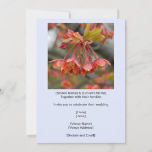 Elegante rode esdoorn boom bloem cluster bruiloft kaart