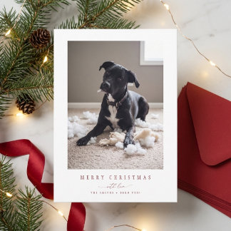Elegante Rode Grappige Hond Foto Kerstkaart