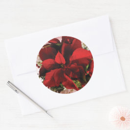 Elegante rode kerst poinsettia ronde sticker