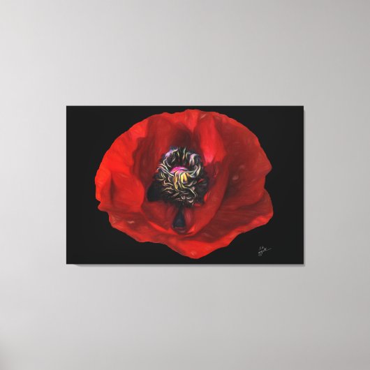 Elegante rode klaproos bloem op zwarte achtergrond canvas afdruk (Voorkant)