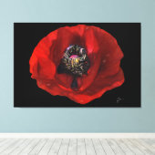 Elegante rode klaproos bloem op zwarte achtergrond canvas afdruk (Insitu (Houten vloer))