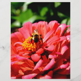 Elegante rode koraal bloemenschattige hommel