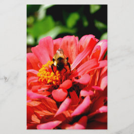 Elegante rode koraal bloemenschattige hommel