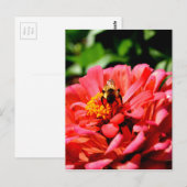 Elegante rode koraal bloemenschattige hommel briefkaart (Voorkant / Achterkant)