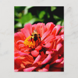 Elegante rode koraal bloemenschattige hommel briefkaart
