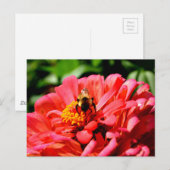 Elegante rode koraal bloemenschattige hommel briefkaart (Voorkant / Achterkant)