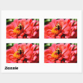 Elegante rode koraal bloemenschattige hommel rechthoekige sticker (Vel)