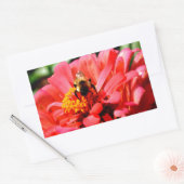 Elegante rode koraal bloemenschattige hommel rechthoekige sticker (Envelop)