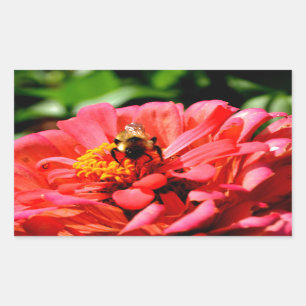 Elegante rode koraal bloemenschattige hommel rechthoekige sticker