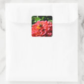 Elegante rode koraal bloemenschattige hommel vierkante sticker (Tas)