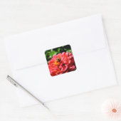 Elegante rode koraal bloemenschattige hommel vierkante sticker (Envelop)