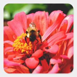 Elegante rode koraal bloemenschattige hommel vierkante sticker