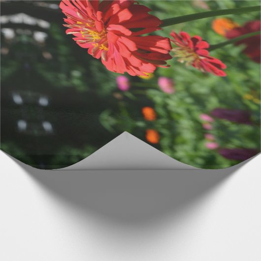 Elegante rode oranje bloementuin cadeaupapier (Hoek)