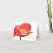 Elegante rode papaver bloemige lente bloemen dank 