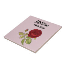 Elegante rode roos bloem roze