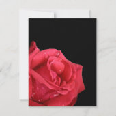 Elegante Rode Roos Save the Date Kaarten (Achterkant)