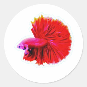 Elegante Rode Roos Staart Betta Sticker - Luxe Flo