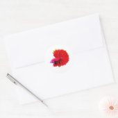 Elegante Rode Roos Staart Betta Sticker - Luxe Flo (Envelop)