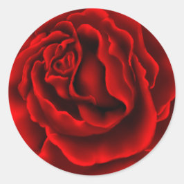 Elegante rode roos Sticker