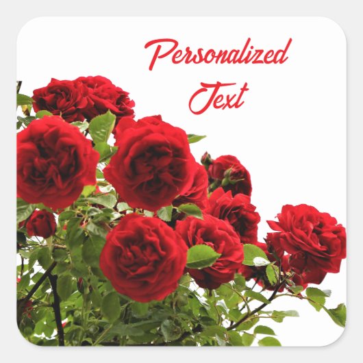 Elegante Rode Rozen Boeket Monogram Vierkante Sticker (Voorkant)
